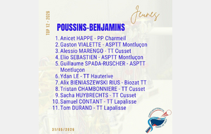 6a1d7e79e244f_Tableaupoussinbenjamin.jpg